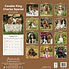 Cavalier King Charles Calendar